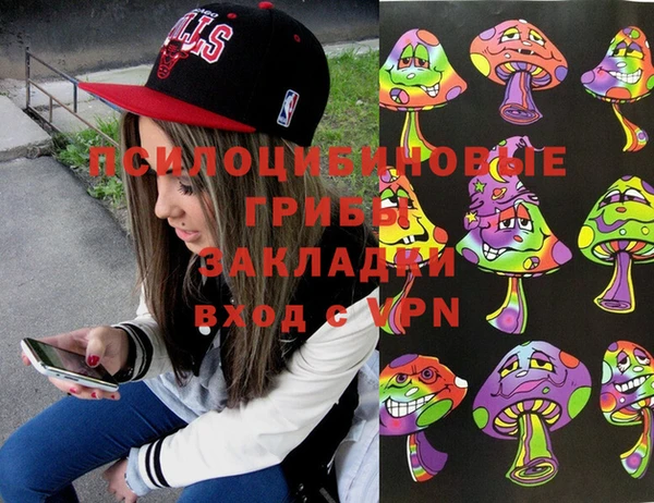 шишки Баксан