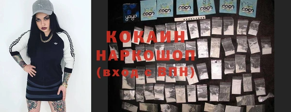 шишки Баксан