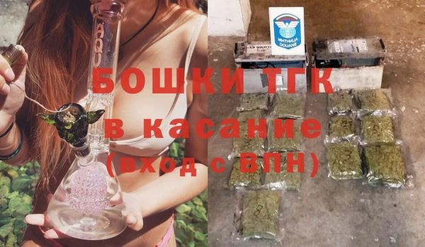 шишки Баксан
