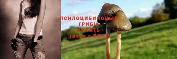 шишки Баксан