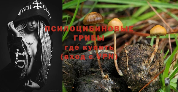 шишки Баксан
