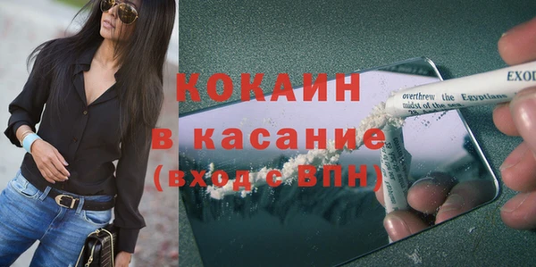 шишки Баксан
