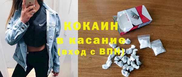 шишки Баксан