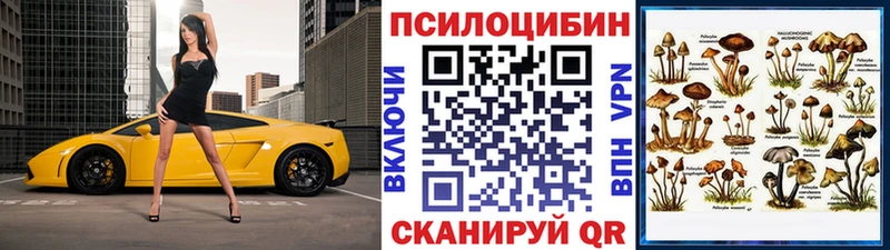 Купить  Беслан  Псилоцибиновые грибы ЛСД 